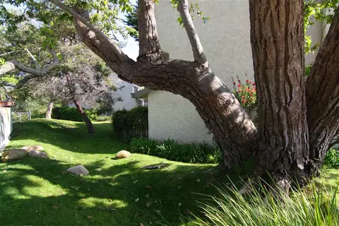 5455 8th St #19, Carpinteria, CA 93013 photo 7