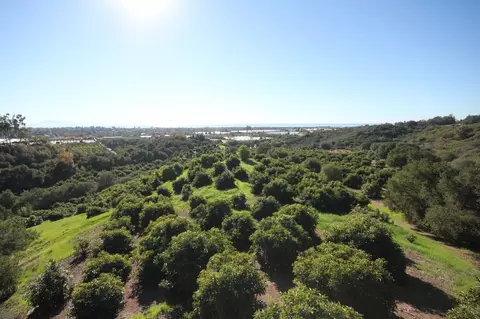 5210 Foothill Rd, Carpinteria, CA 93013 photo 32