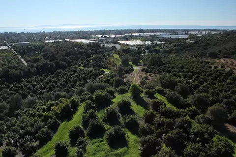 5210 Foothill Rd, Carpinteria, CA 93013 photo 34