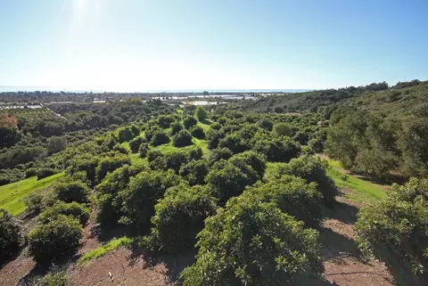 5210 Foothill Rd, Carpinteria, CA 93013 photo 3