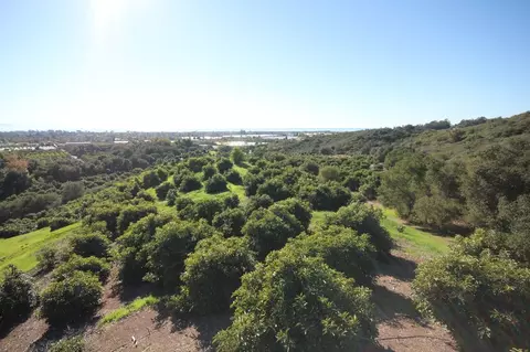 5210 Foothill Rd, Carpinteria, CA 93013 photo 31