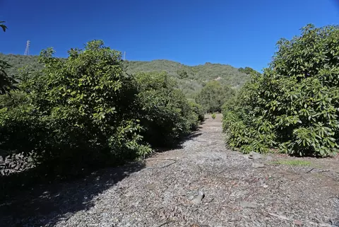 5210 Foothill Rd, Carpinteria, CA 93013 photo 11