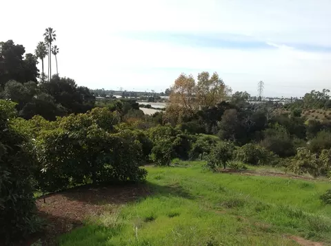 5210 Foothill Rd, Carpinteria, CA 93013 photo 22