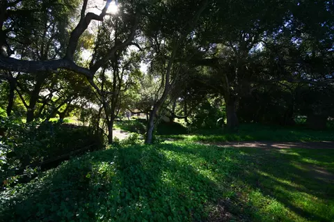 5210 Foothill Rd, Carpinteria, CA 93013 photo 19