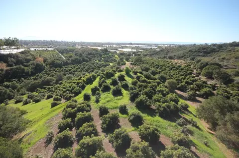 5210 Foothill Rd, Carpinteria, CA 93013 photo 33