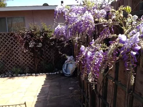4480 Via Real, Carpinteria, CA 93013 photo 9