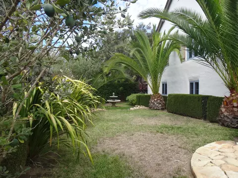 1237 E Cota St, Santa Barbara, CA 93103 photo 4