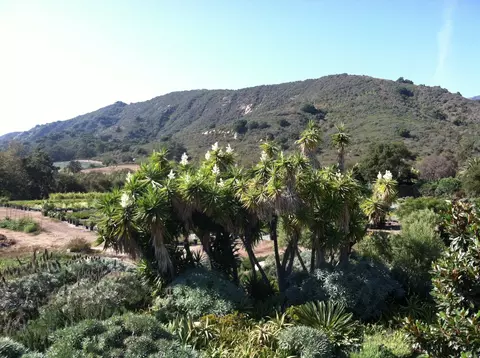 1825 Cravens Ln, Carpinteria, CA 93013 photo 9