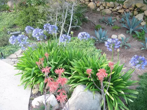 6820 Shepard Mesa Rd, Carpinteria, CA 93013 photo 22