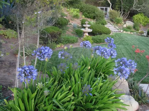 6820 Shepard Mesa Rd, Carpinteria, CA 93013 photo 21