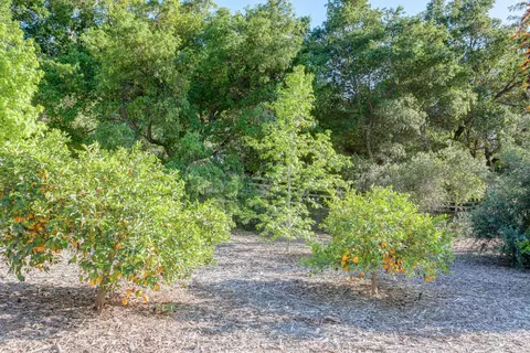 183 Fairview Rd, Ojai, CA 93023 photo 35