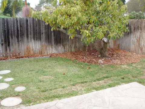 640 Dara Rd, Goleta, CA 93117 photo 23