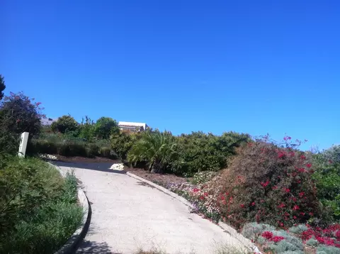 450 Calle Lippizana, Goleta, CA 93117 photo 11
