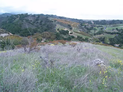 450 Calle Lippizana, Goleta, CA 93117 photo 8