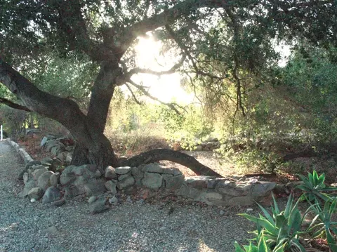 1729 Ladera Rd, Ojai, CA 93023 photo 6