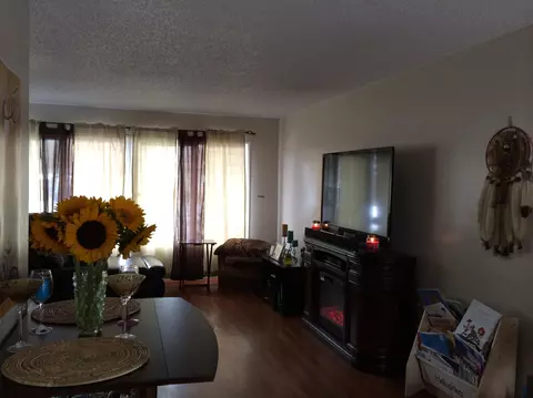 4885 Nipomo Dr, Carpinteria, CA 93013 photo 3