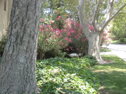 643 Roskilde Rd, Solvang, CA 93463 photo 22