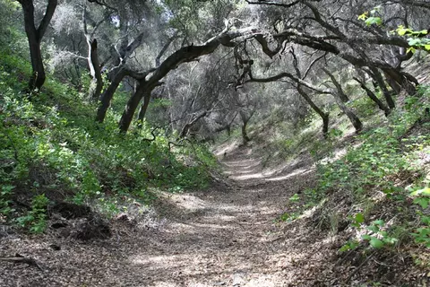 2401 Drum Canyon Rd, Lompoc, CA 93436 photo 6