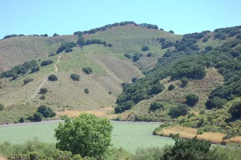 2401 Drum Canyon Rd, Lompoc, CA 93436 photo 19
