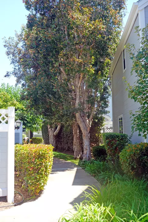 4515 Carpinteria Ave #E, Carpinteria, CA 93013 photo 20