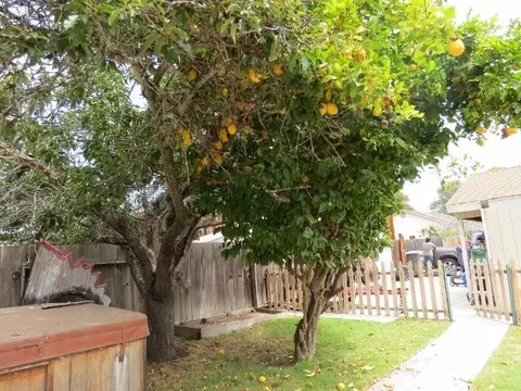 226 S O St, Lompoc, CA 93436 photo 13