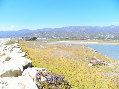 501 Sand Point Rd, Carpinteria, CA 93013 photo 7