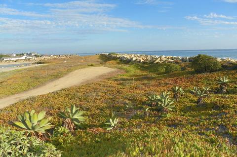 501 Sand Point Rd, Carpinteria, CA 93013 photo 3
