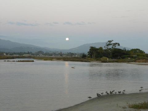 501 Sand Point Rd, Carpinteria, CA 93013 photo 13
