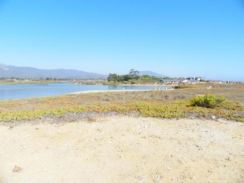 501 Sand Point Rd, Carpinteria, CA 93013 photo 15