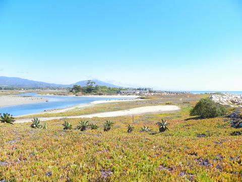 501 Sand Point Rd, Carpinteria, CA 93013 photo 16