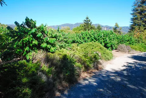 7461 Shepard Mesa Rd, Carpinteria, CA 93013 photo 4