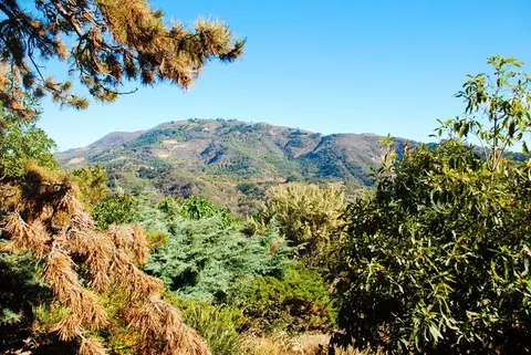 7461 Shepard Mesa Rd, Carpinteria, CA 93013 photo 3