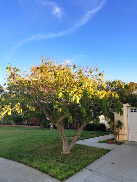 908 Cagney Way, Lompoc, CA 93436 photo 4