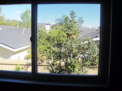 3950 Via Real #2, Carpinteria, CA 93013 photo 9