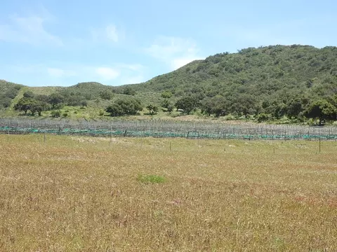 6587 E Highway 246, Lompoc, CA 93436 photo 17