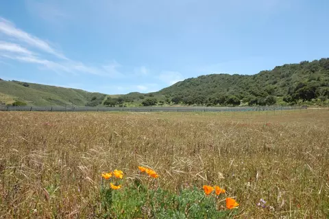 6587 E Highway 246, Lompoc, CA 93436 photo 16