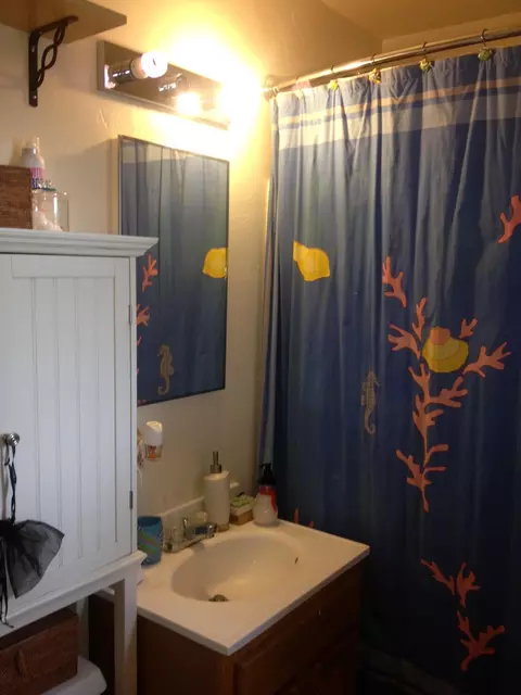 166 E Bounds Rd, Ventura, CA 93001 photo 9