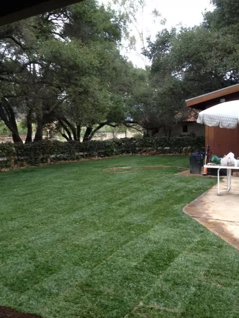 773 Fairview Rd, Ojai, CA 93023 photo 19