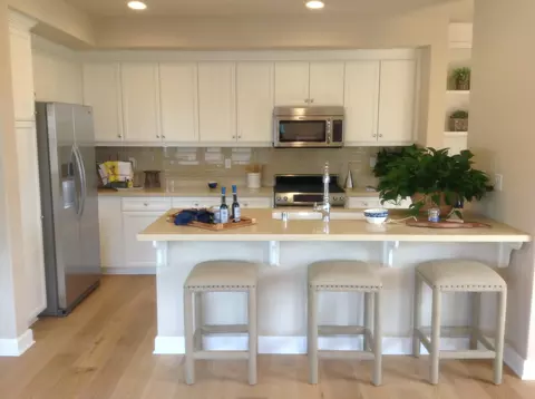 203 Sanderling Ln, Goleta, CA 93117 photo 3