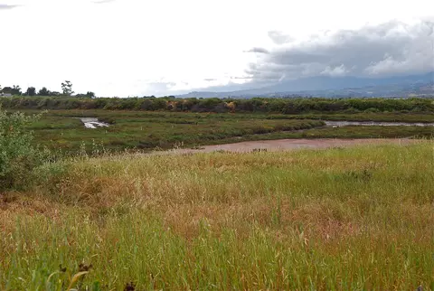 130 Ash Ave #17, Carpinteria, CA 93013 photo 14
