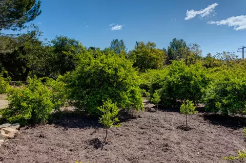 1655 Mcnell Rd, Ojai, CA 93023 photo 31