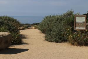 5945 Birch St #1, Carpinteria, CA 93013 photo 9