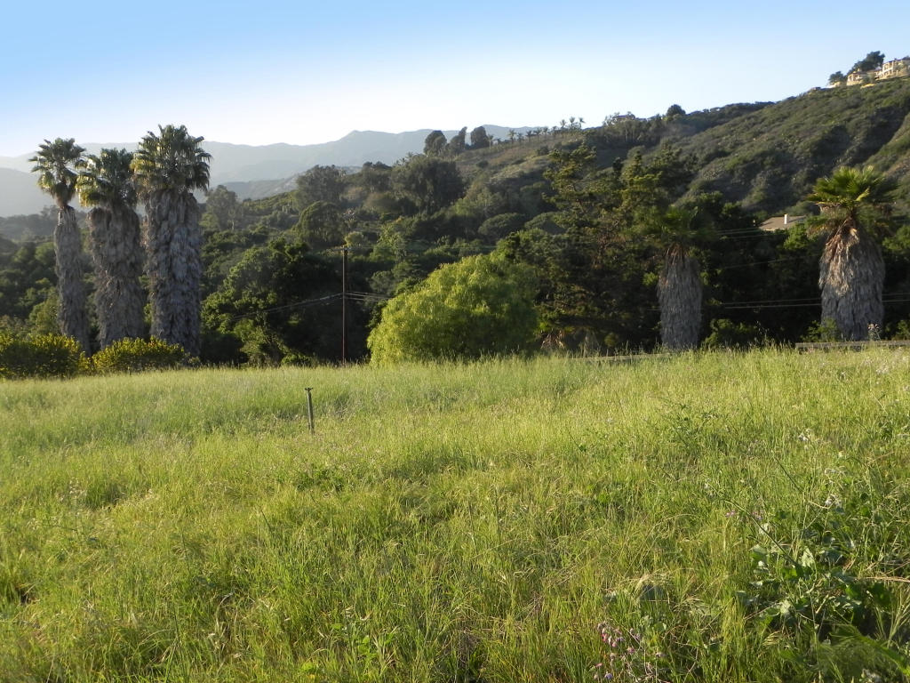 6925 Shepard Mesa Rd, Carpinteria, CA 93013 photo 8