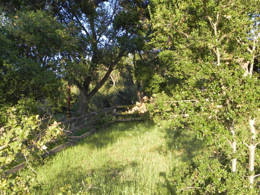 6925 Shepard Mesa Rd, Carpinteria, CA 93013 photo 9
