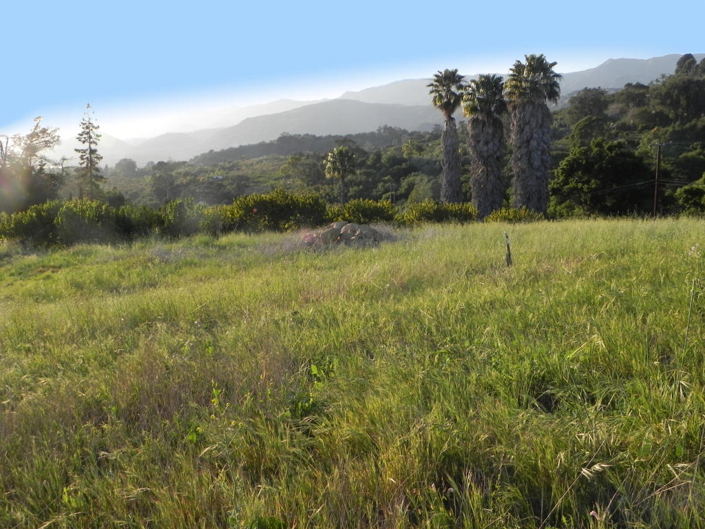 6925 Shepard Mesa Rd, Carpinteria, CA 93013 photo 2