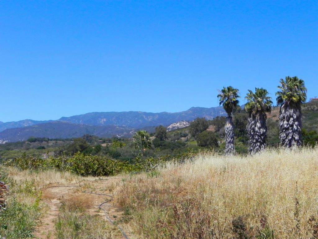 6925 Shepard Mesa Rd, Carpinteria, CA 93013 photo 5