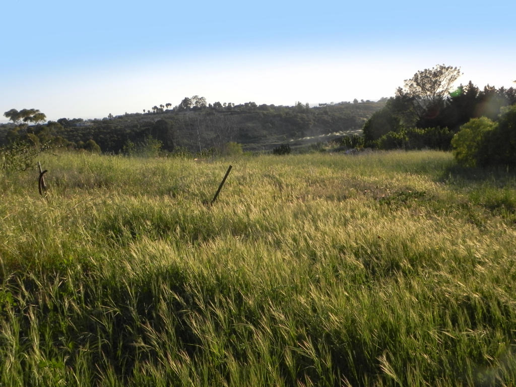 6925 Shepard Mesa Rd, Carpinteria, CA 93013 photo 6