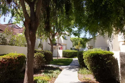 4834 Sawyer Ave, Carpinteria, CA 93013 photo 23