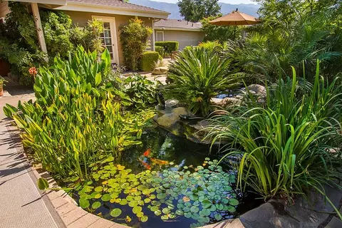 370 Gridley Rd, Ojai, CA 93023 photo 34