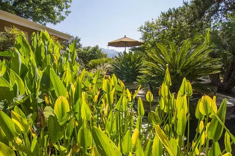 370 Gridley Rd, Ojai, CA 93023 photo 17
